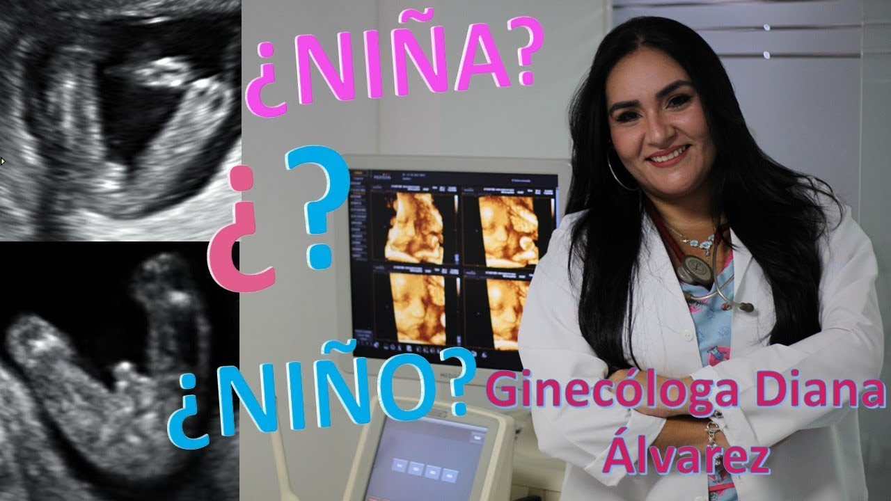 a que semana se sabe si es niño o niña