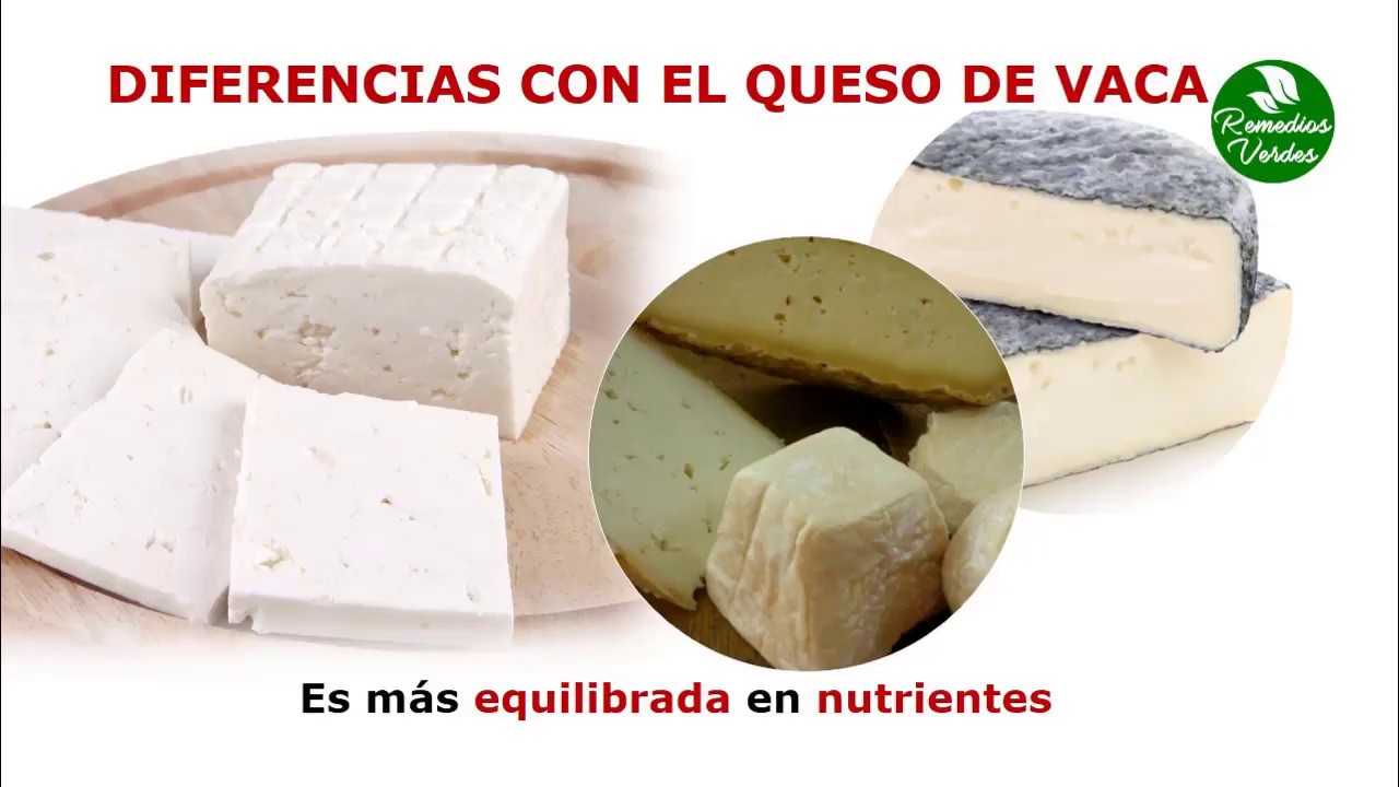 beneficios del queso de cabra fresco