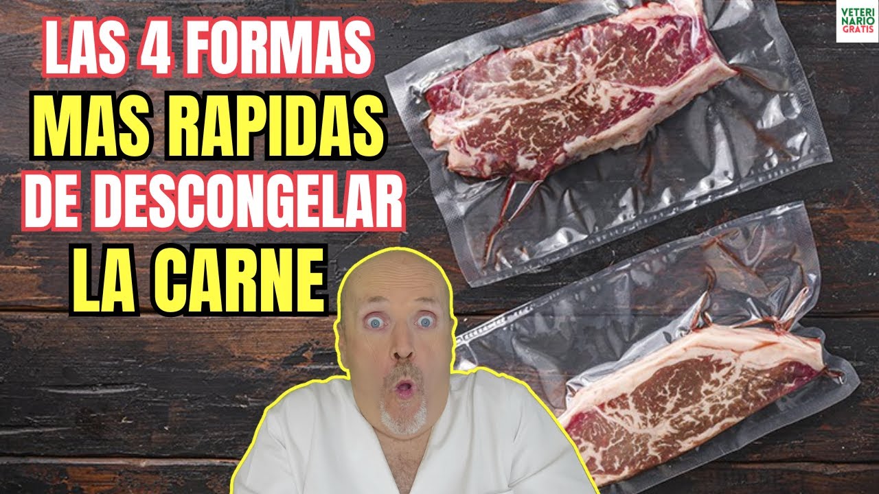 como se debe descongelar la carne