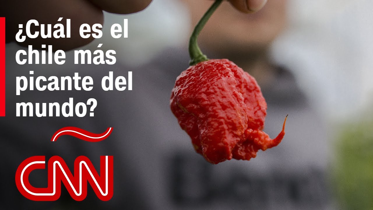 cual es el chile mas picante del mundo