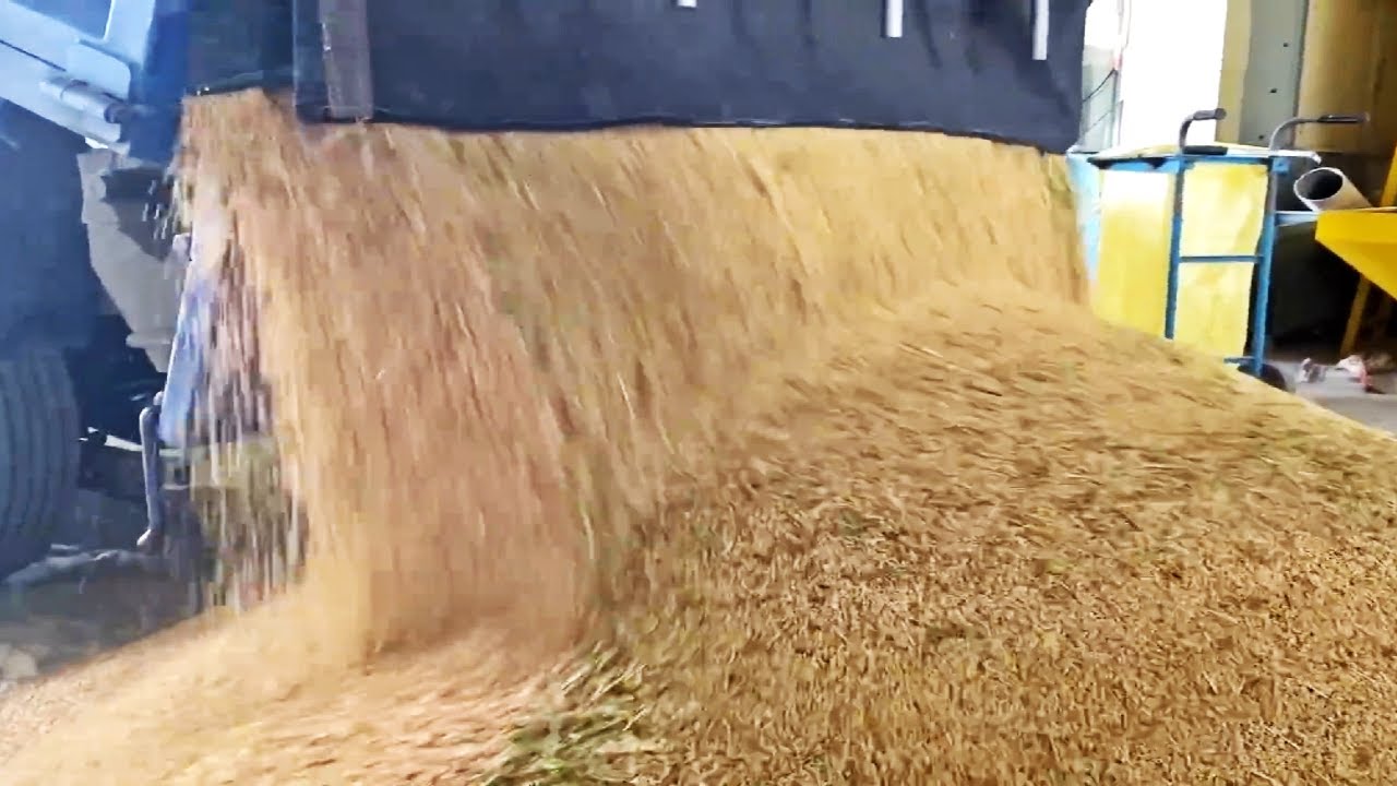 de donde es el arroz sos