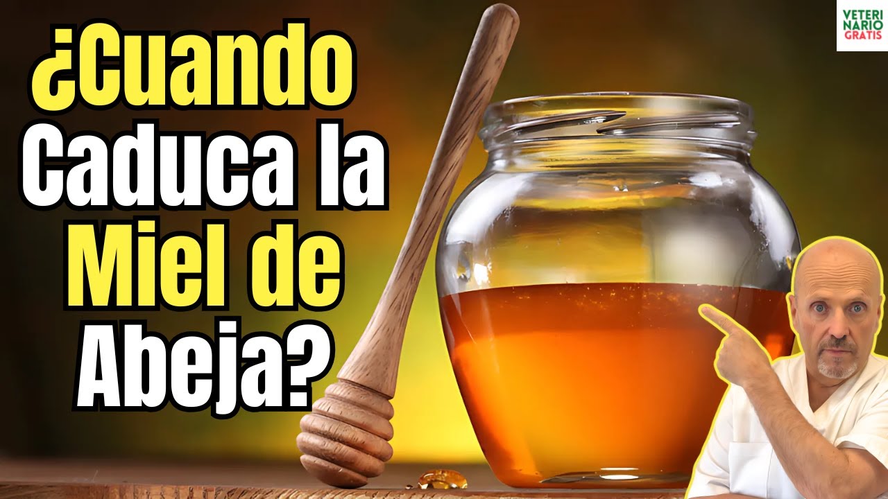 la miel caduca si o no
