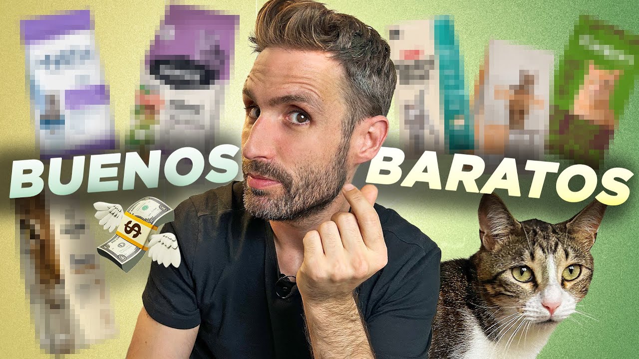 piensos para gatos buenos y baratos