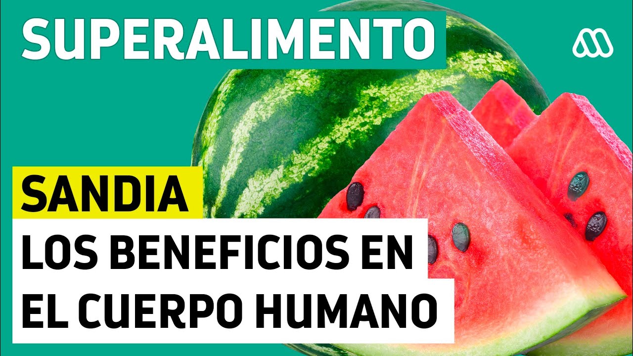 que es mejor la sandia o el melon