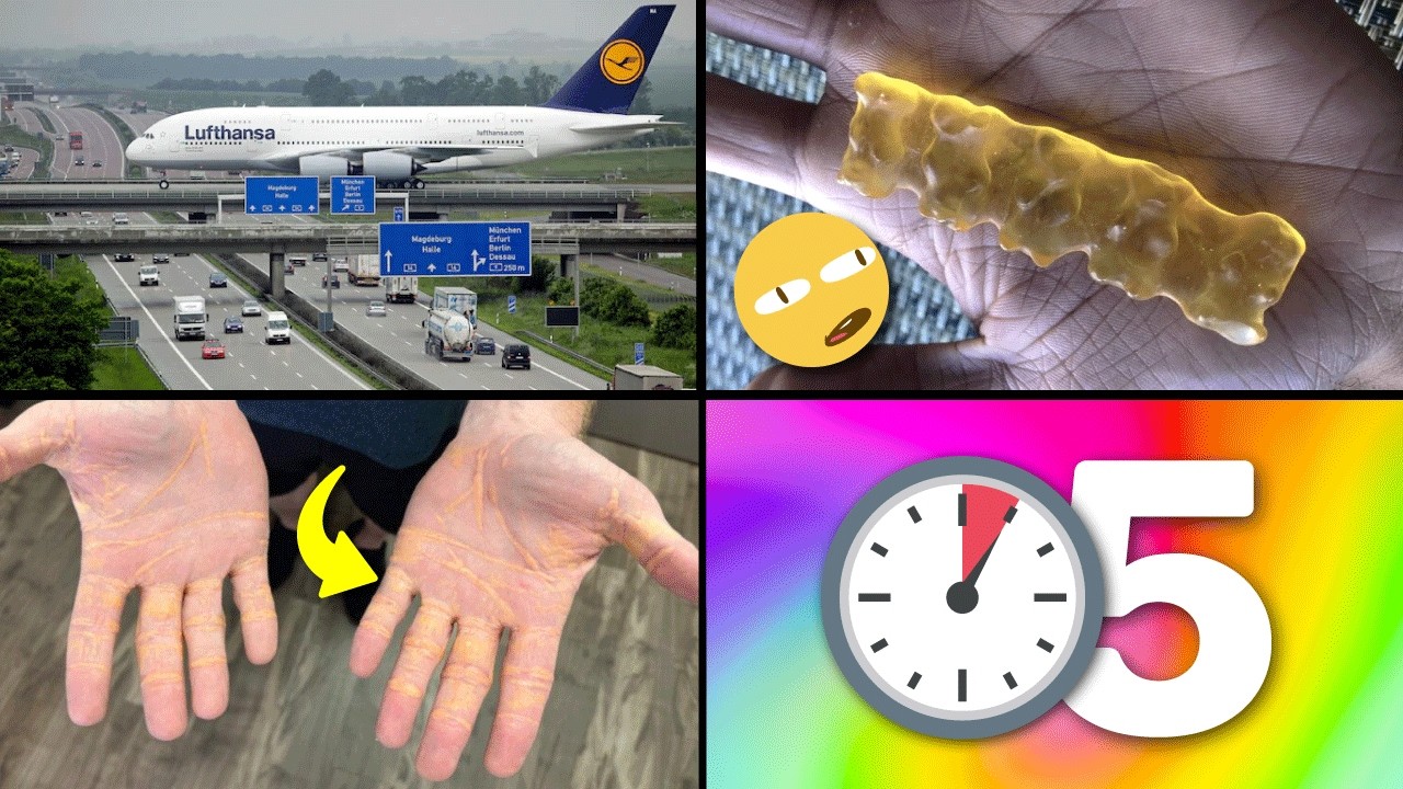 5 cosas q no sabias hace 5 minutos