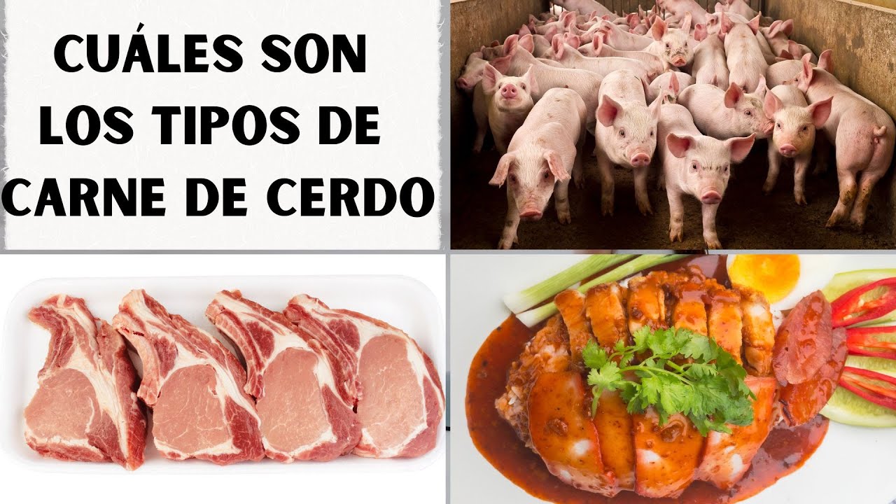 cerdo que tipo de carne es