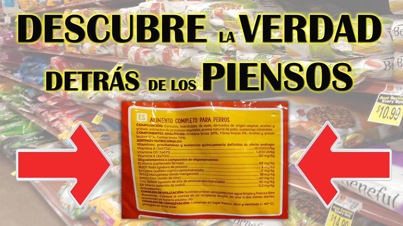 comida para perros que no sea pienso