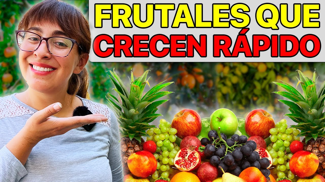 cual es el arbol frutal que crece mas rapido