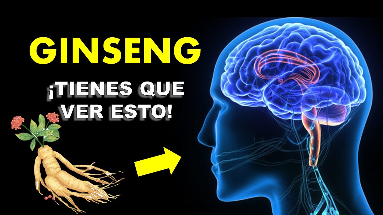 cuáles son los beneficios del ginseng