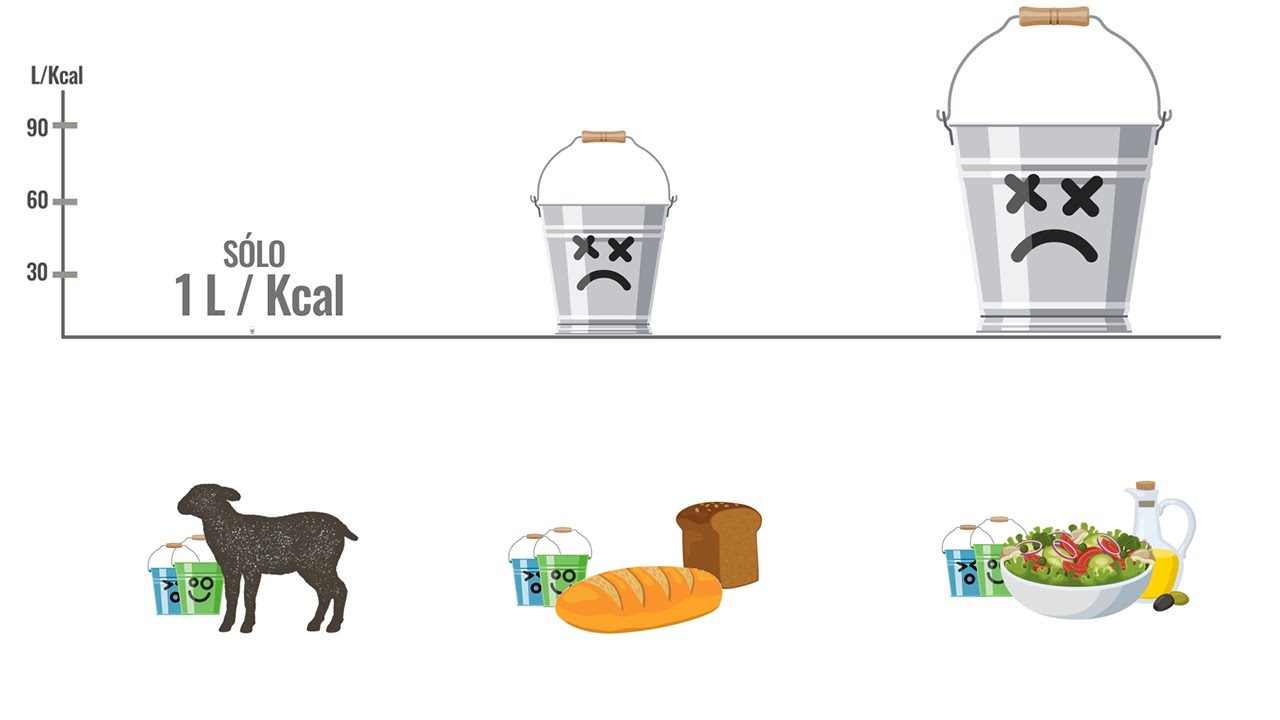 cuanta agua se consume para producir 1 kg de carne