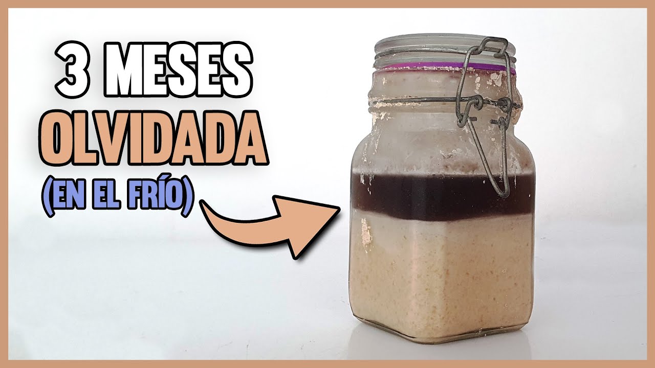 cuanto tiempo dura la masa madre