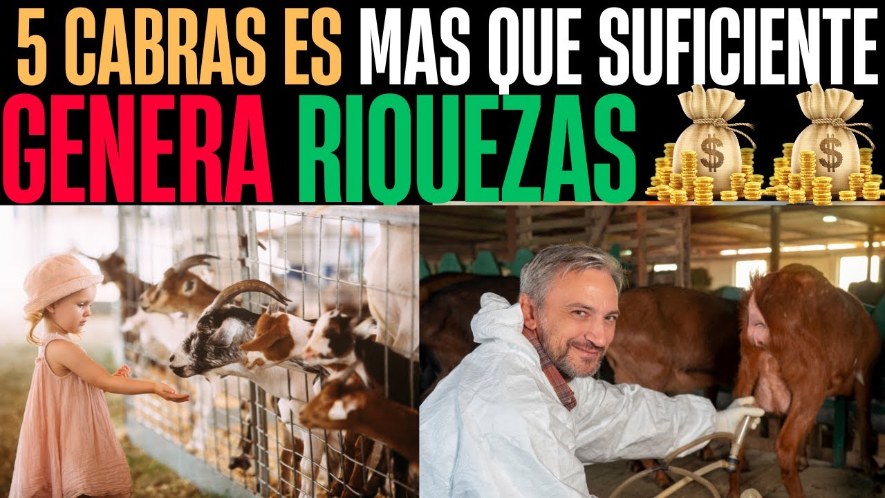 cuántos litros de leche da una cabra