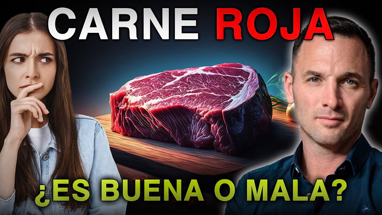 de que esta compuesta la carne