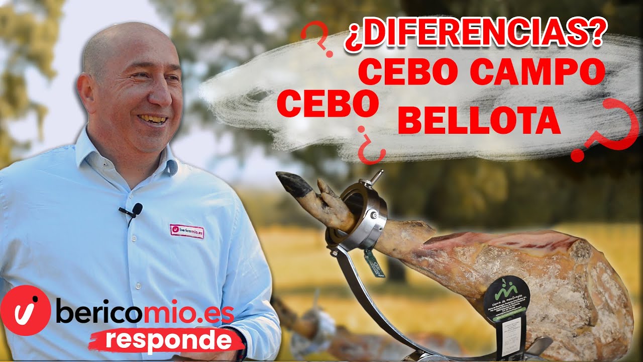 diferencia entre jamon de cebo y de bellota