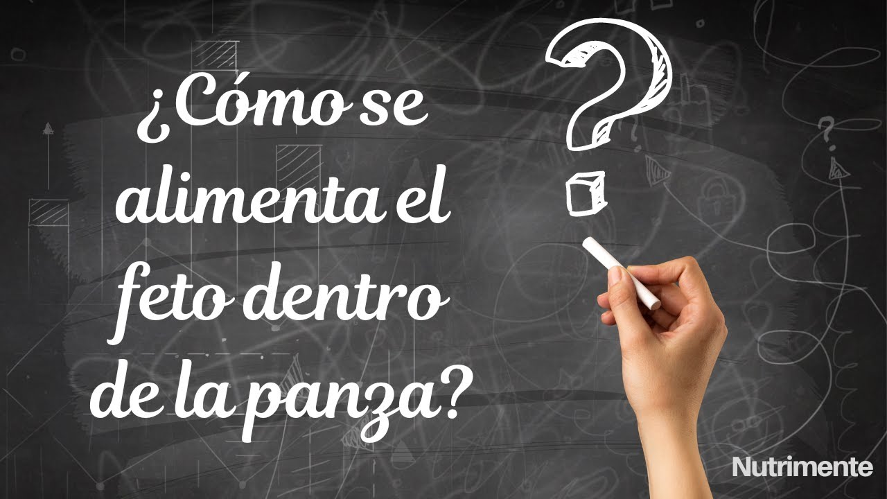 el bebé come cuando la mamá come