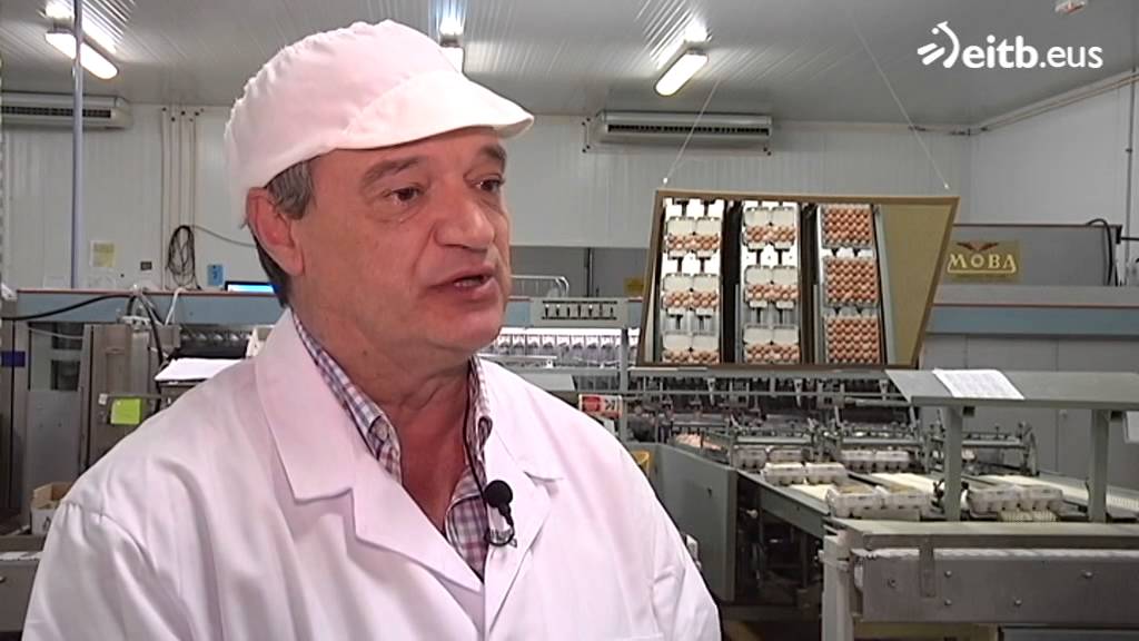 en cuanto tiempo caduca un huevo