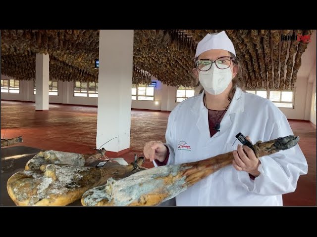 jamón serrano con moho se puede comer