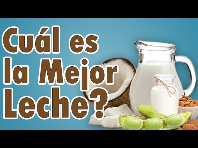 leche de soja o de vaca