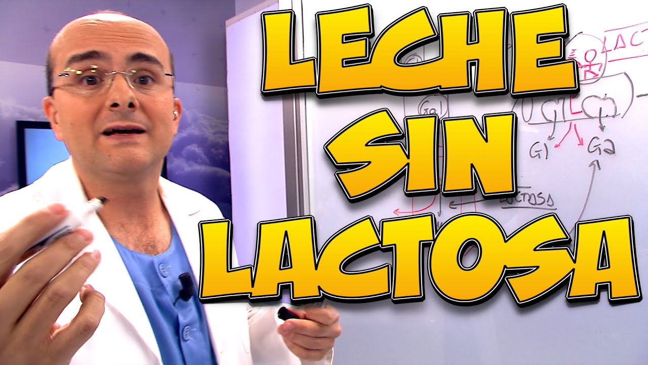 los perros pueden tomar leche sin lactosa