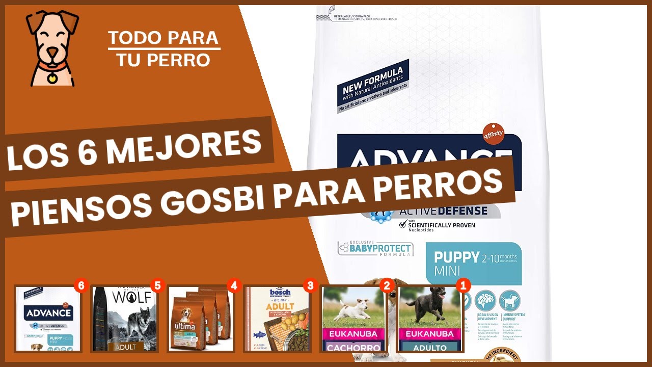 mejor pienso para perro de agua