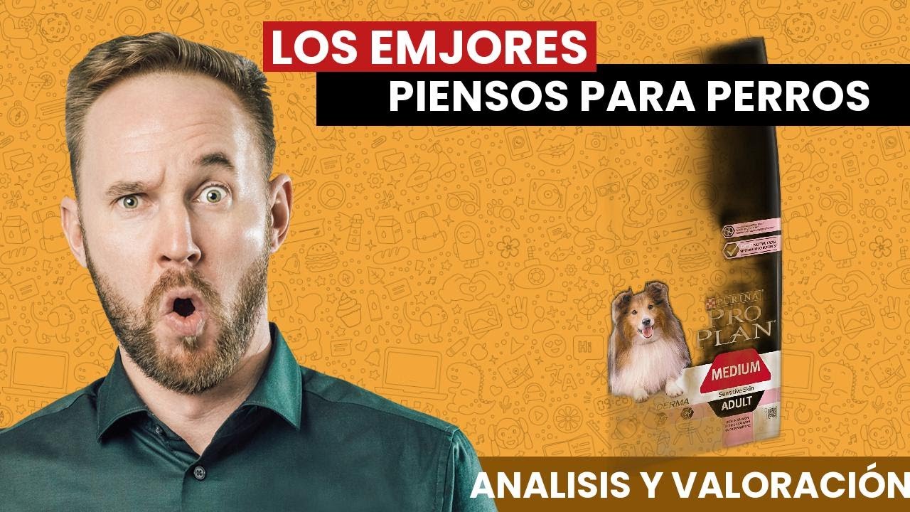 pienso barato y de calidad para perros