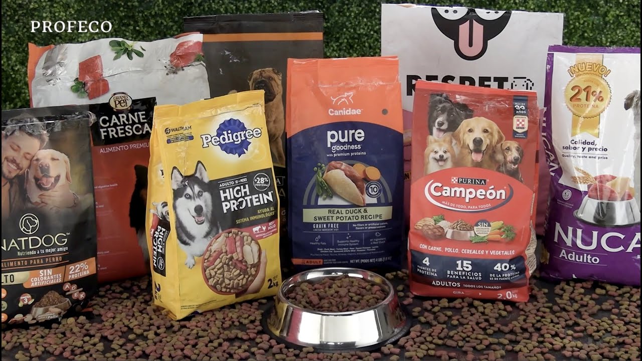 pienso para cachorros bueno y barato