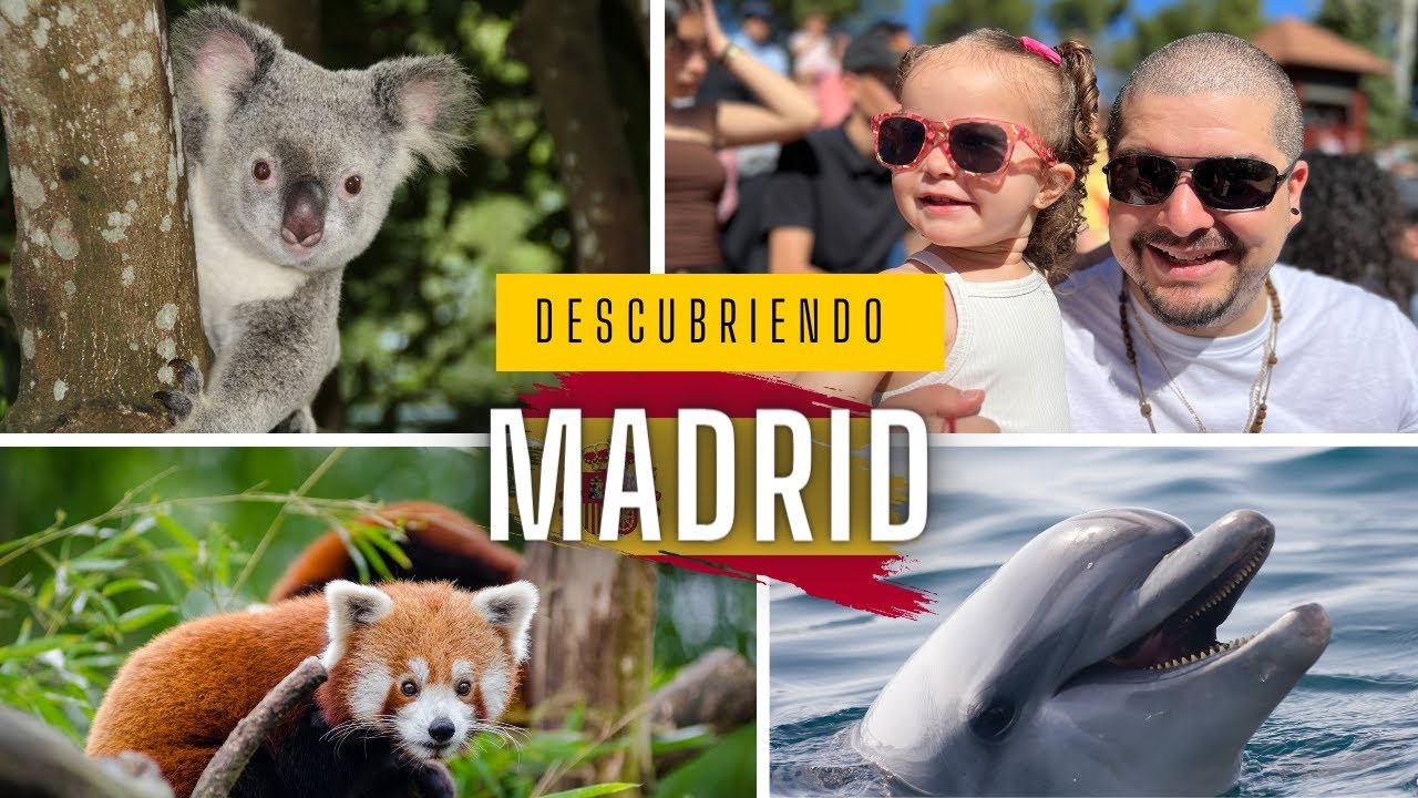 restaurantes en el zoo de madrid