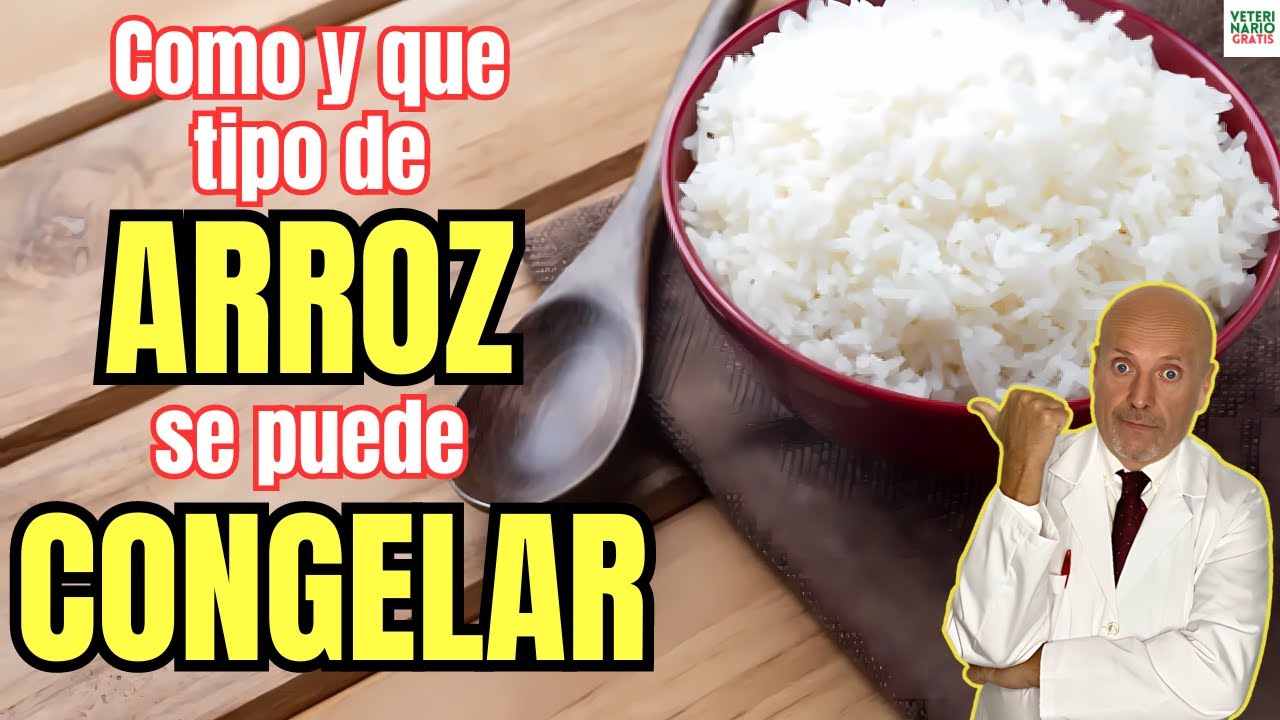 se puede congelar el arroz blanco