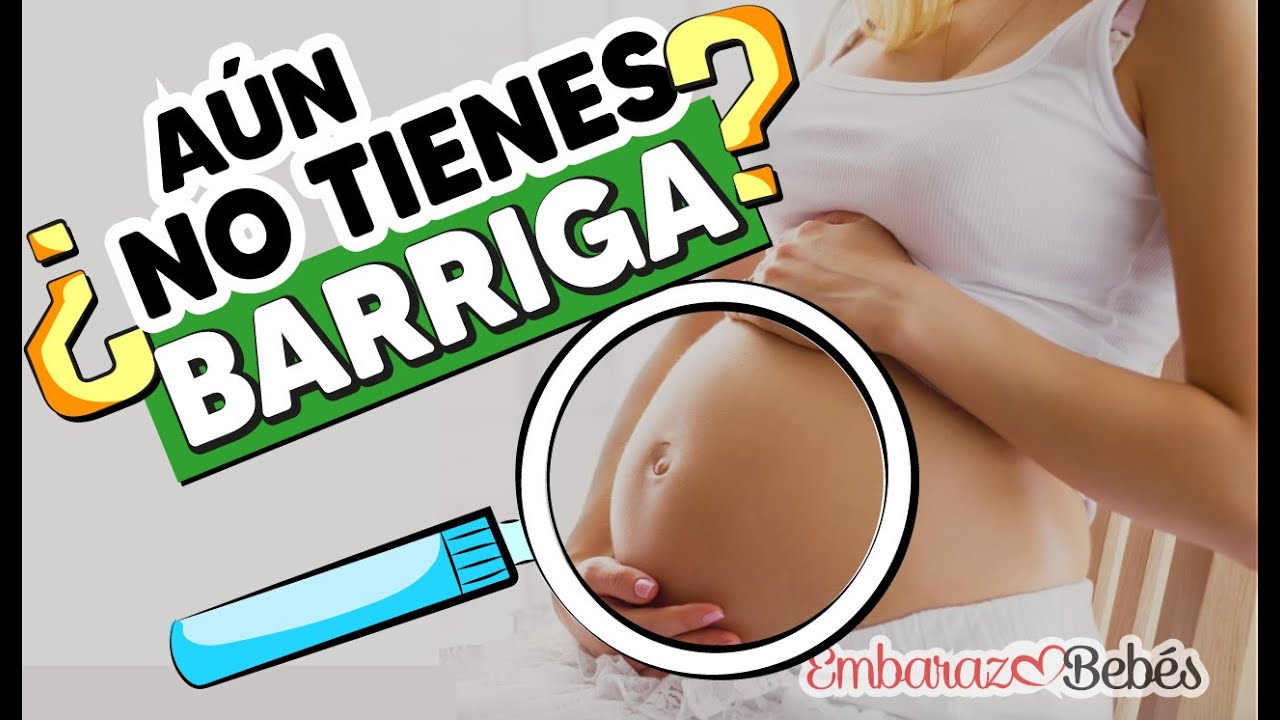 cuando empieza a notarse la barriga