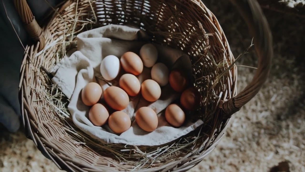 cuanto dura un huevo desde que lo pone la gallina