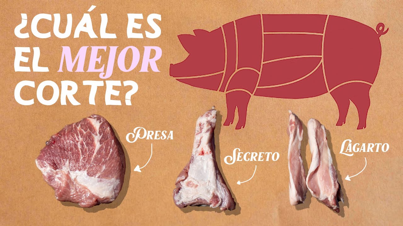 diferencia entre pluma y presa iberica