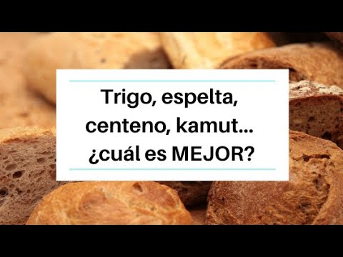 donde puedo comprar pan de centeno