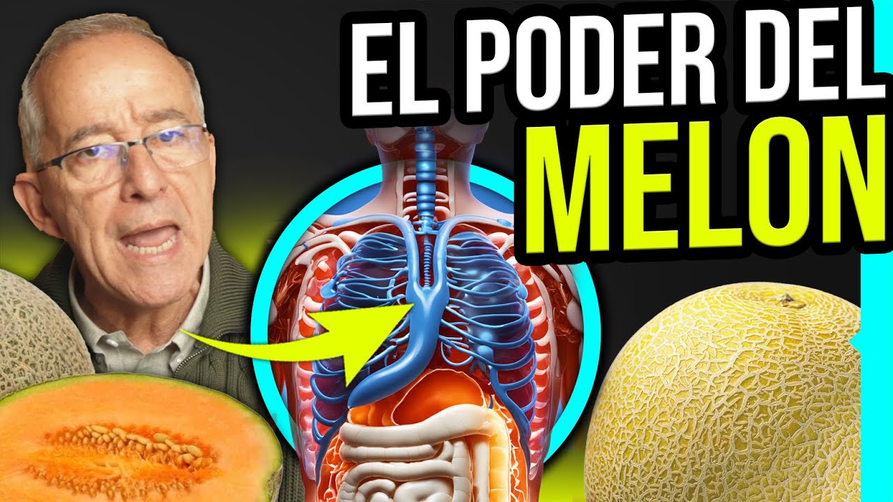 el melon es bueno para la dieta