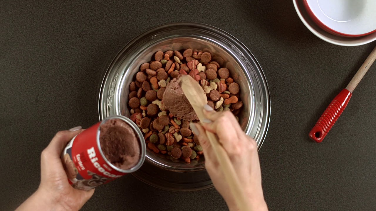 es bueno el pate para los perros