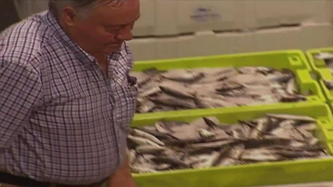 pescado que se come mucho en portugal