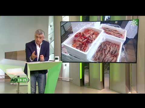 pescados y mariscos de huelva online