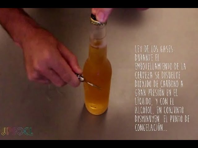 punto de congelacion de la cerveza