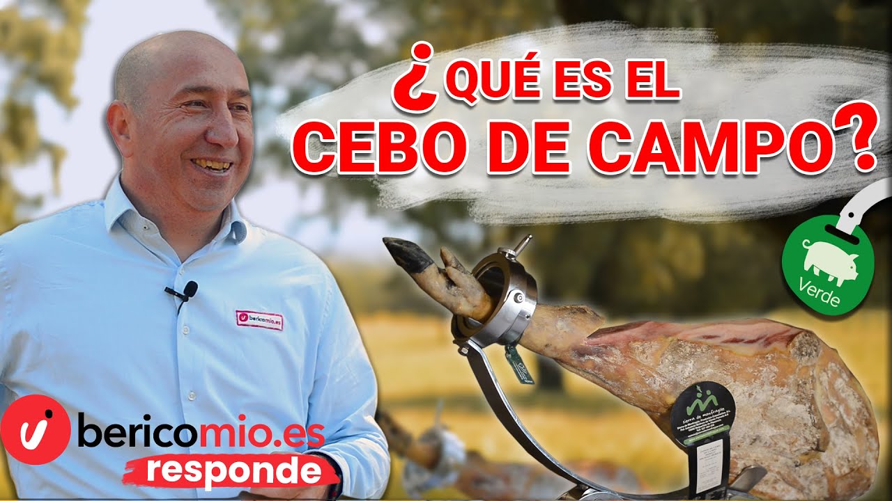 que es jamon de cebo iberico