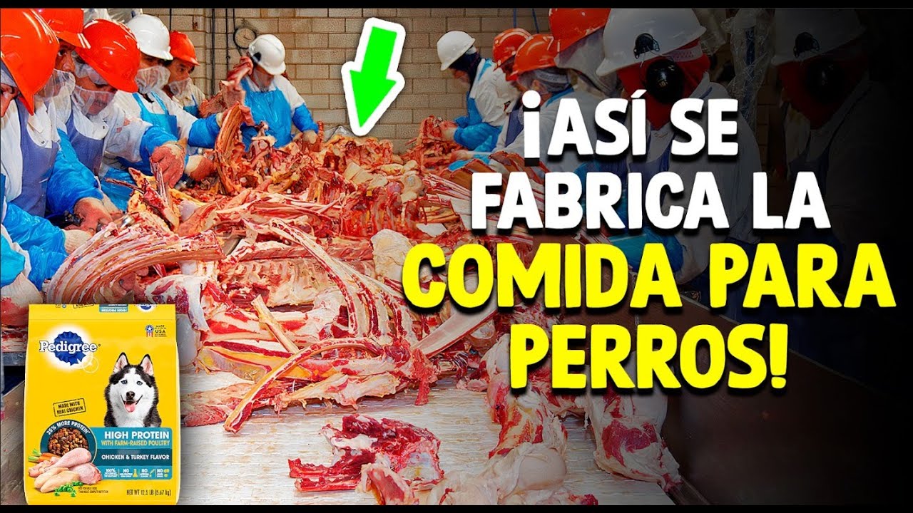 que lleva el pienso de perro