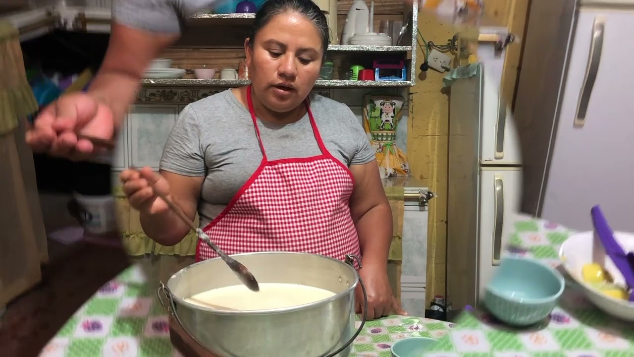 queso cuajado de la leche de soja