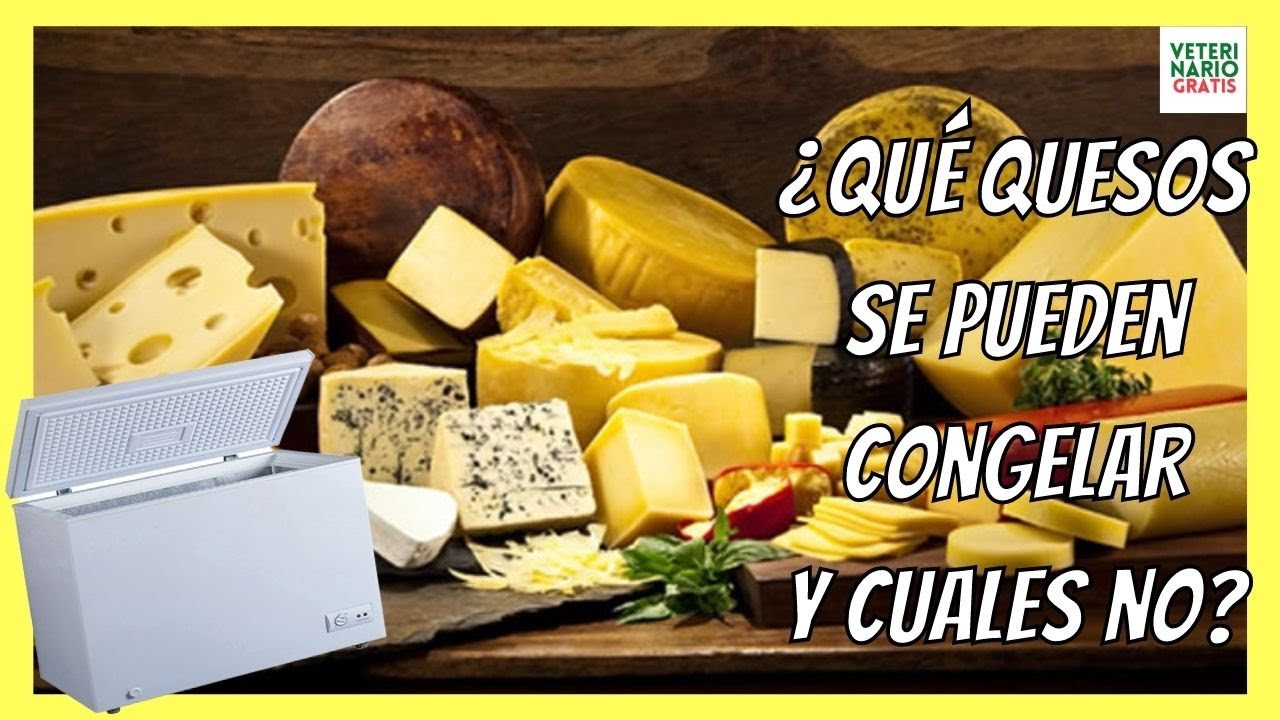 se puede congelar el queso azul