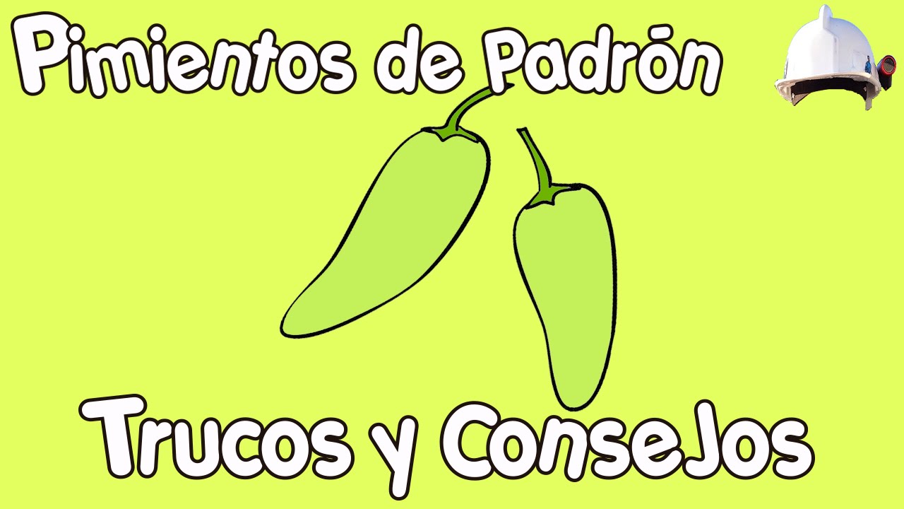 se pueden congelar los pimientos de padrón