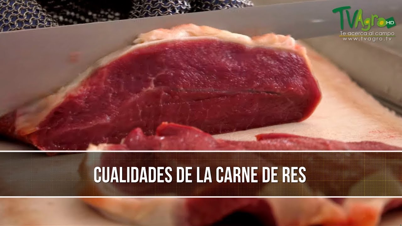 cual es la carne de res