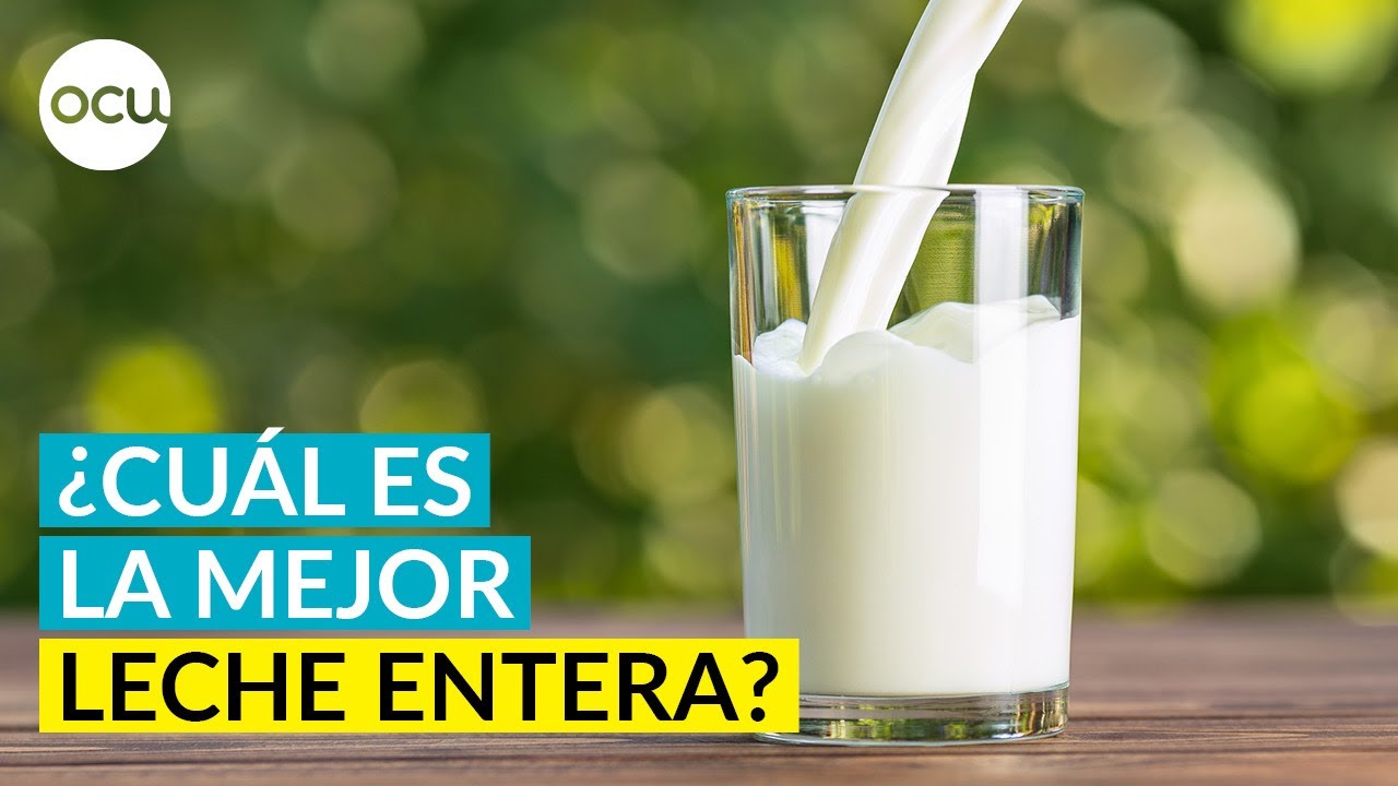 cual es la mejor leche entera
