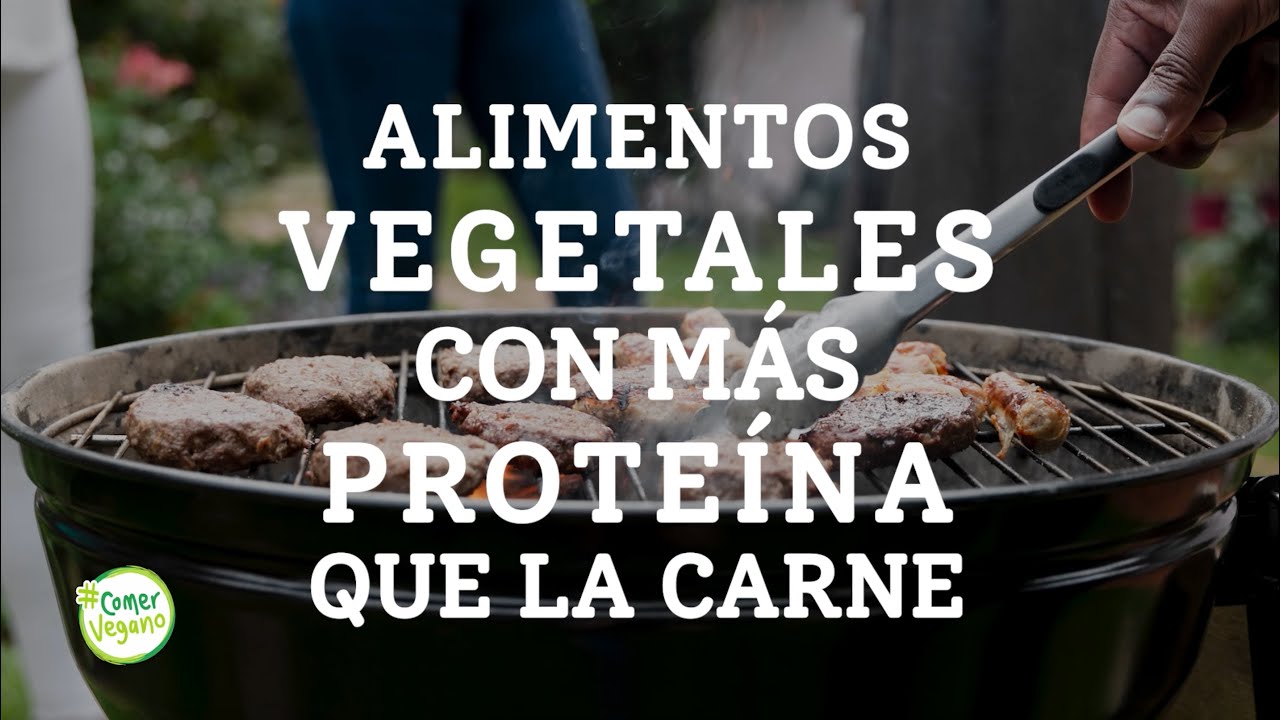 cuantas proteinas tiene un filete de pollo