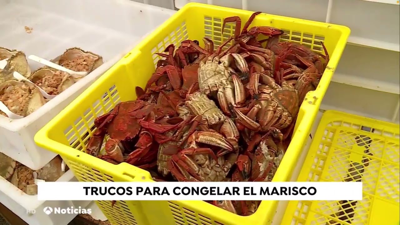 cuanto tiempo dura el marisco congelado