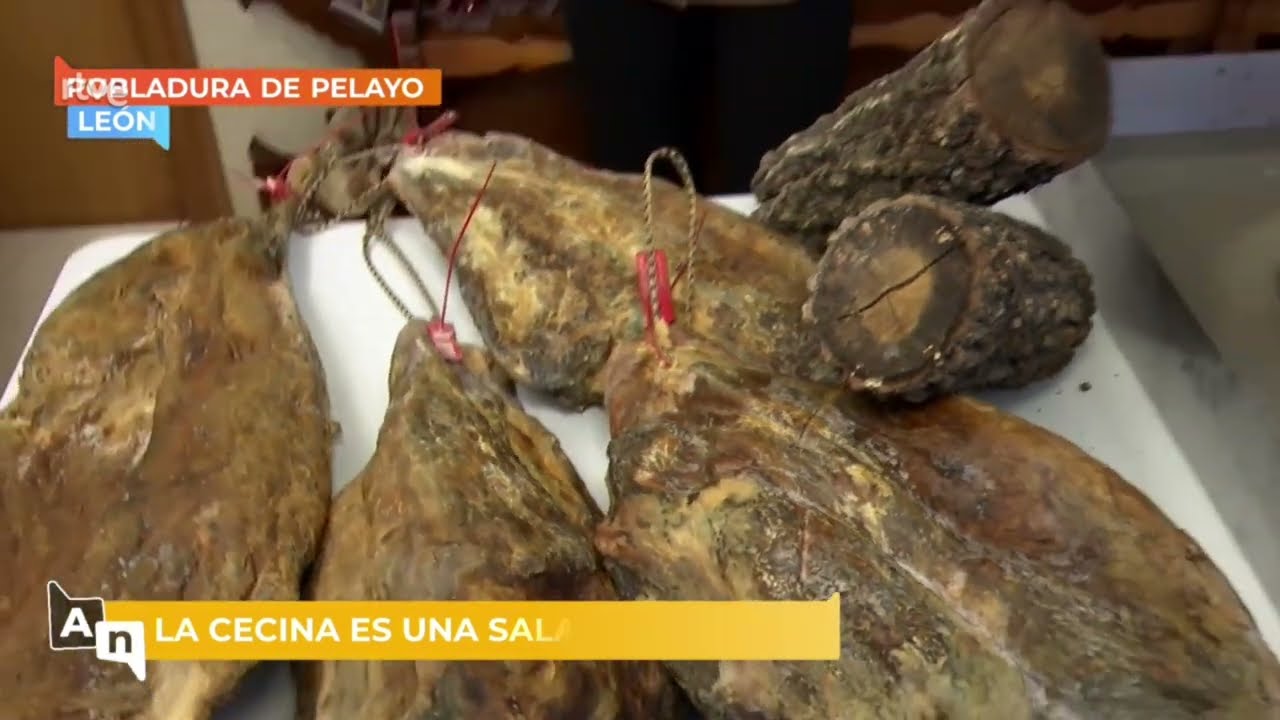 donde comprar la mejor cecina de león
