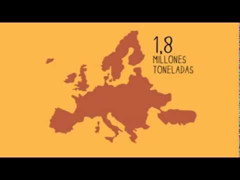 ¿Cuál es el origen del arroz en España?