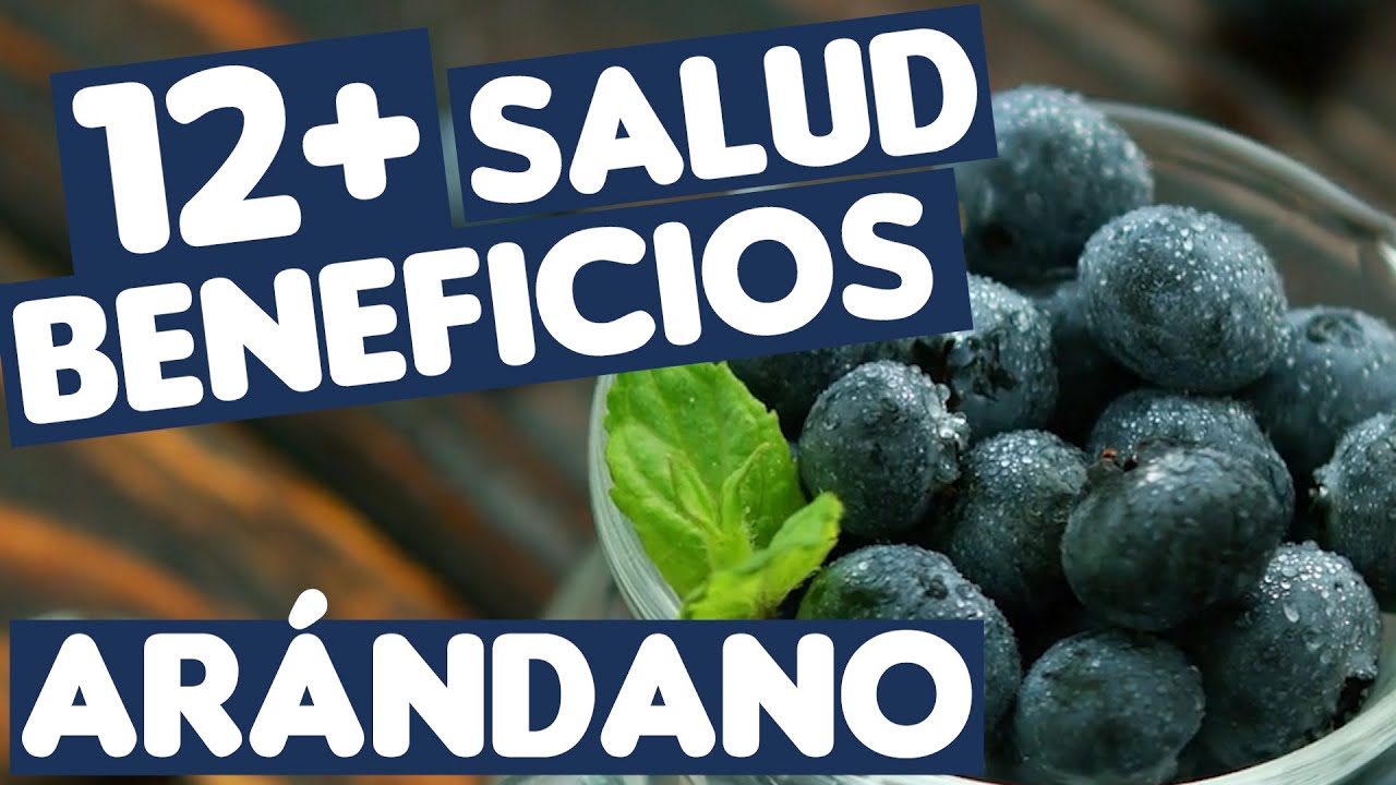 ¿Cuál es mejor: arándanos rojos o arándanos azules?