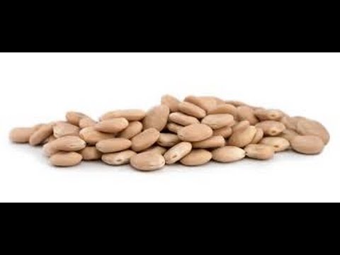 Beneficios de los altramuces para reducir el colesterol